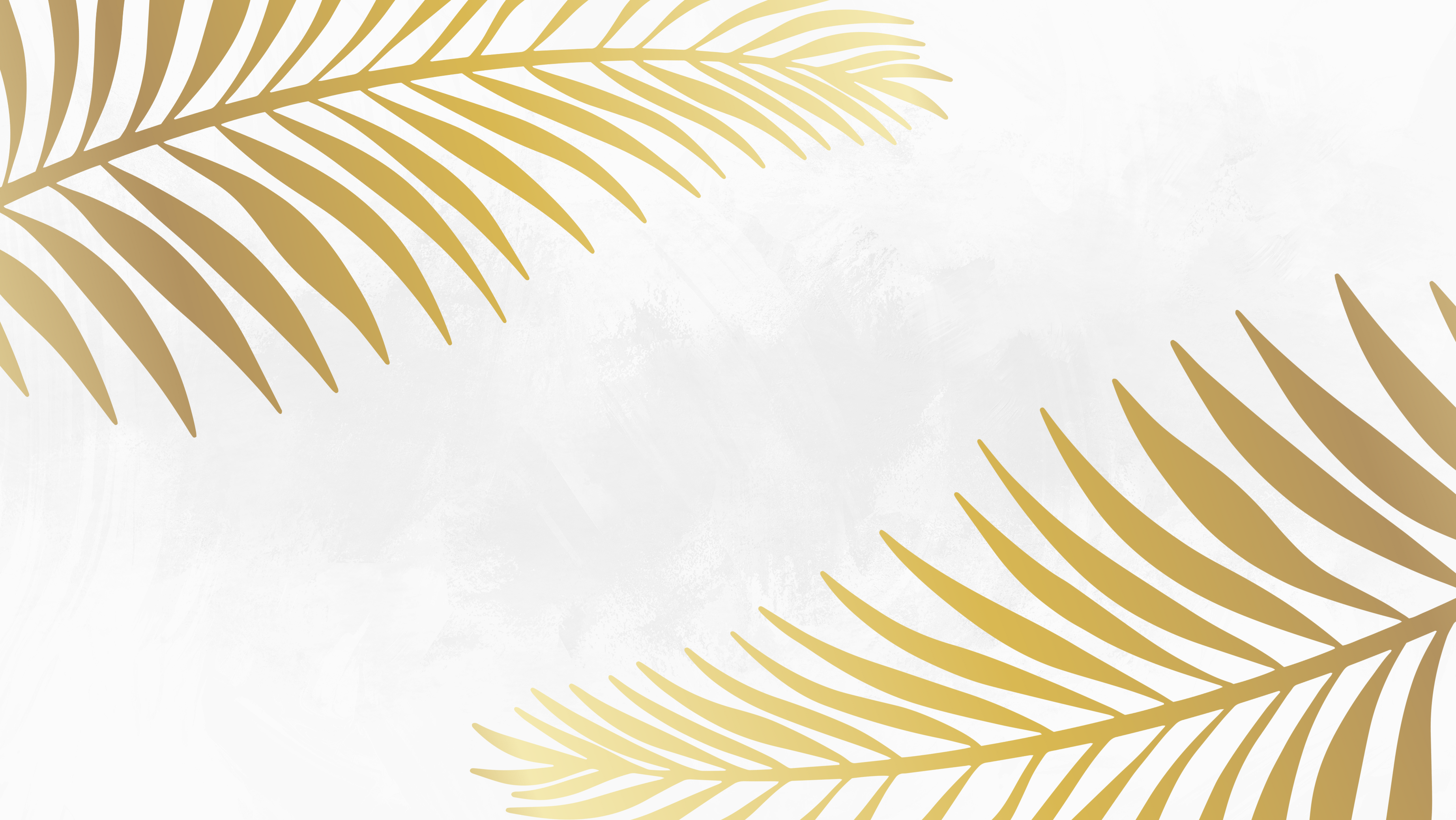 Shop Banner