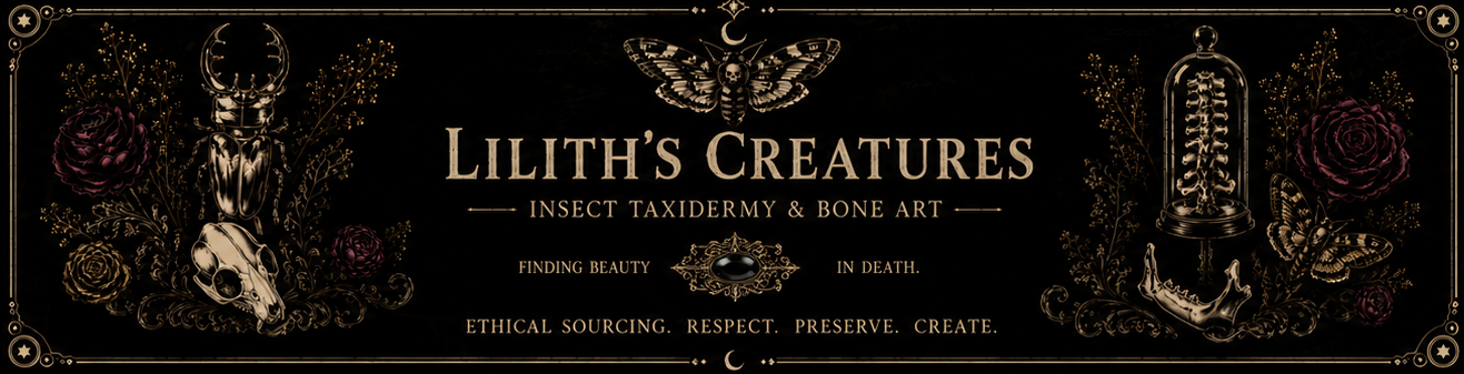 Shop Banner