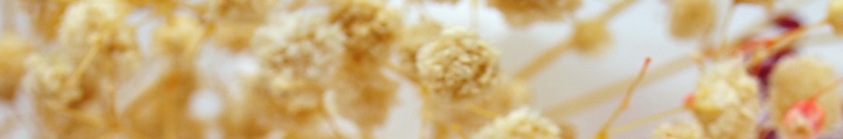 Shop Banner