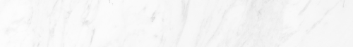 Shop Banner