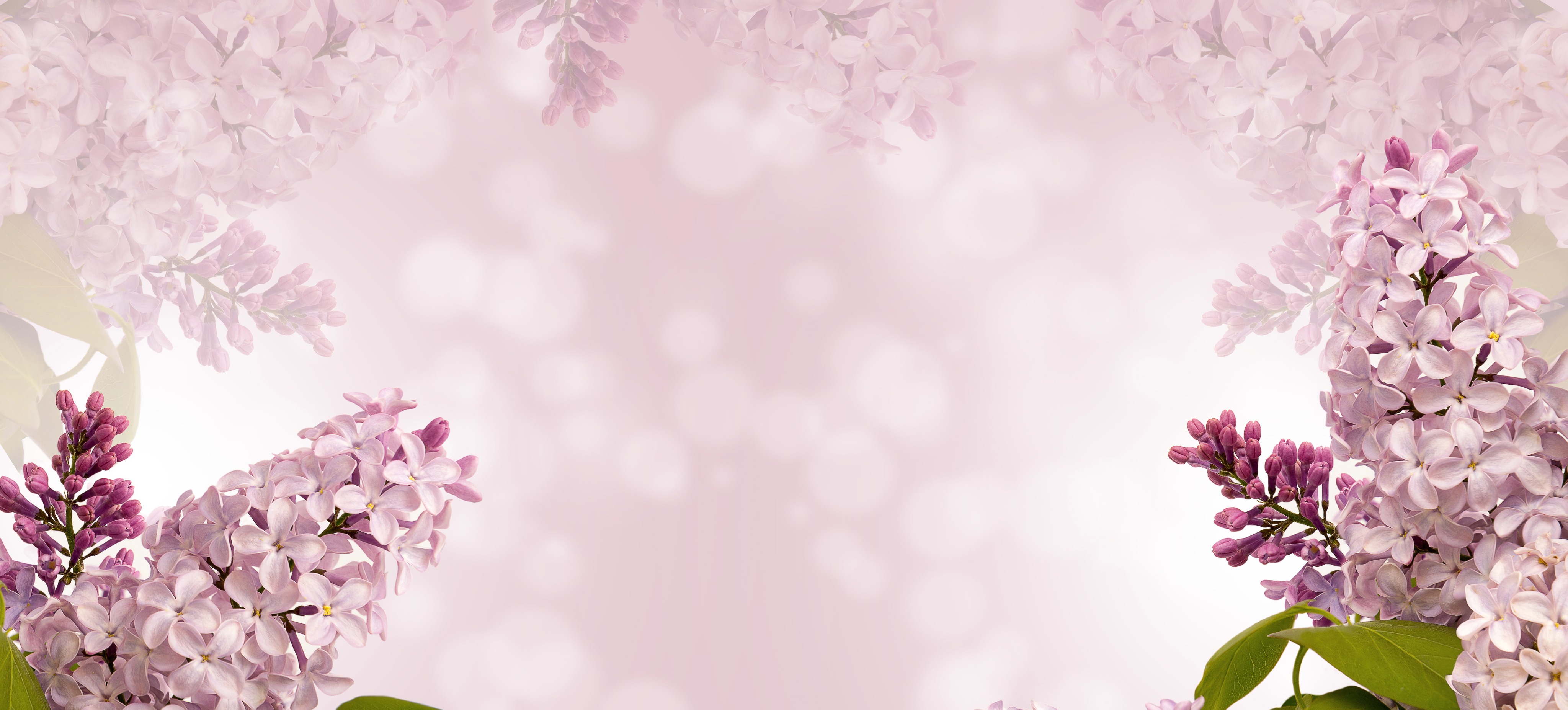 Shop Banner