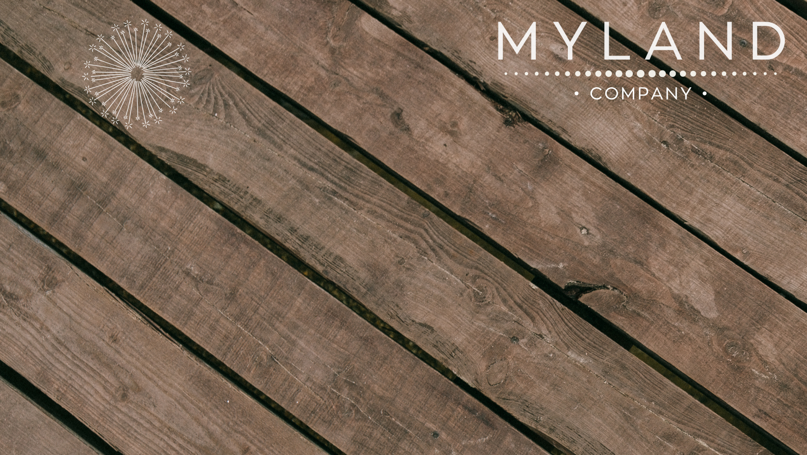 Shop Banner