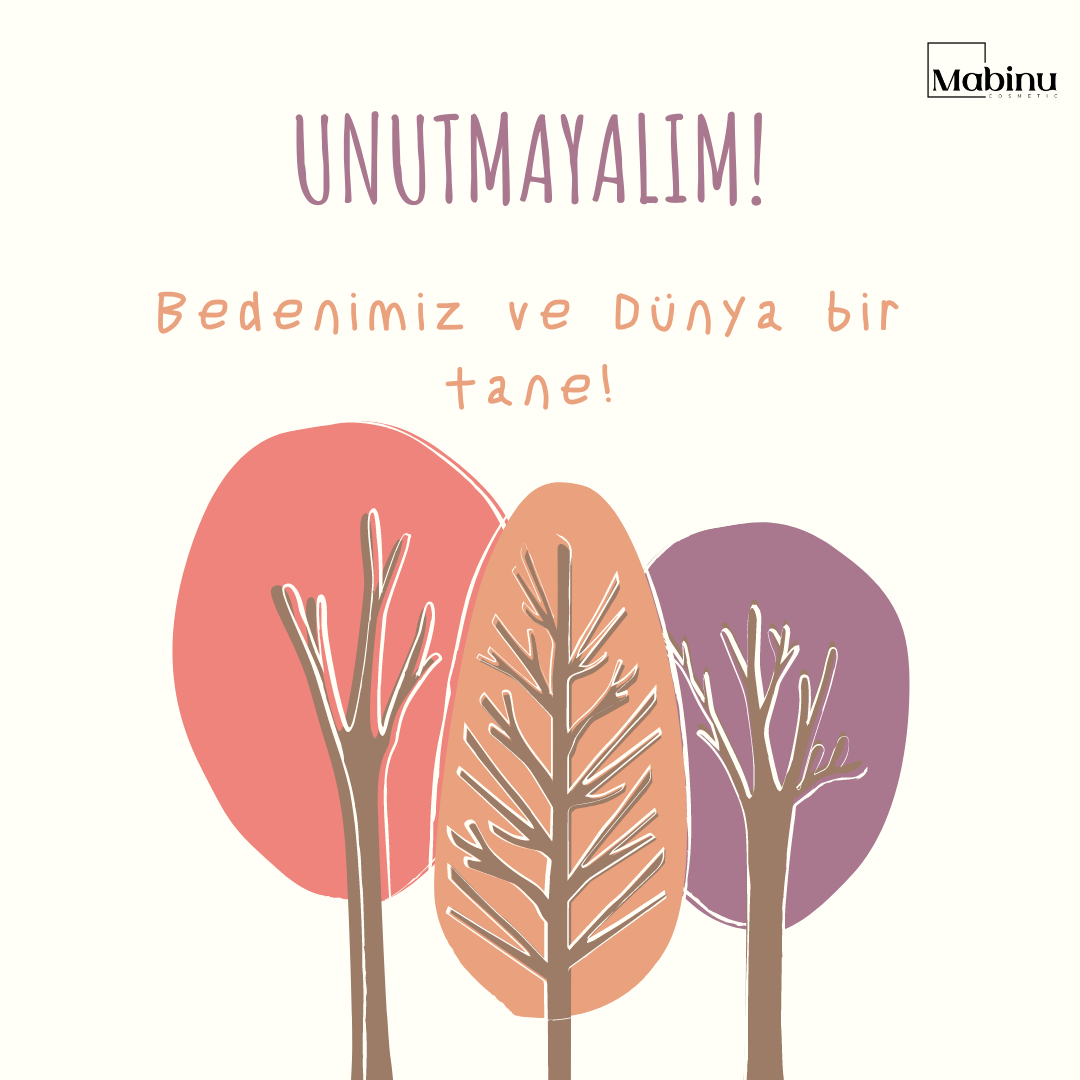 Shop Banner