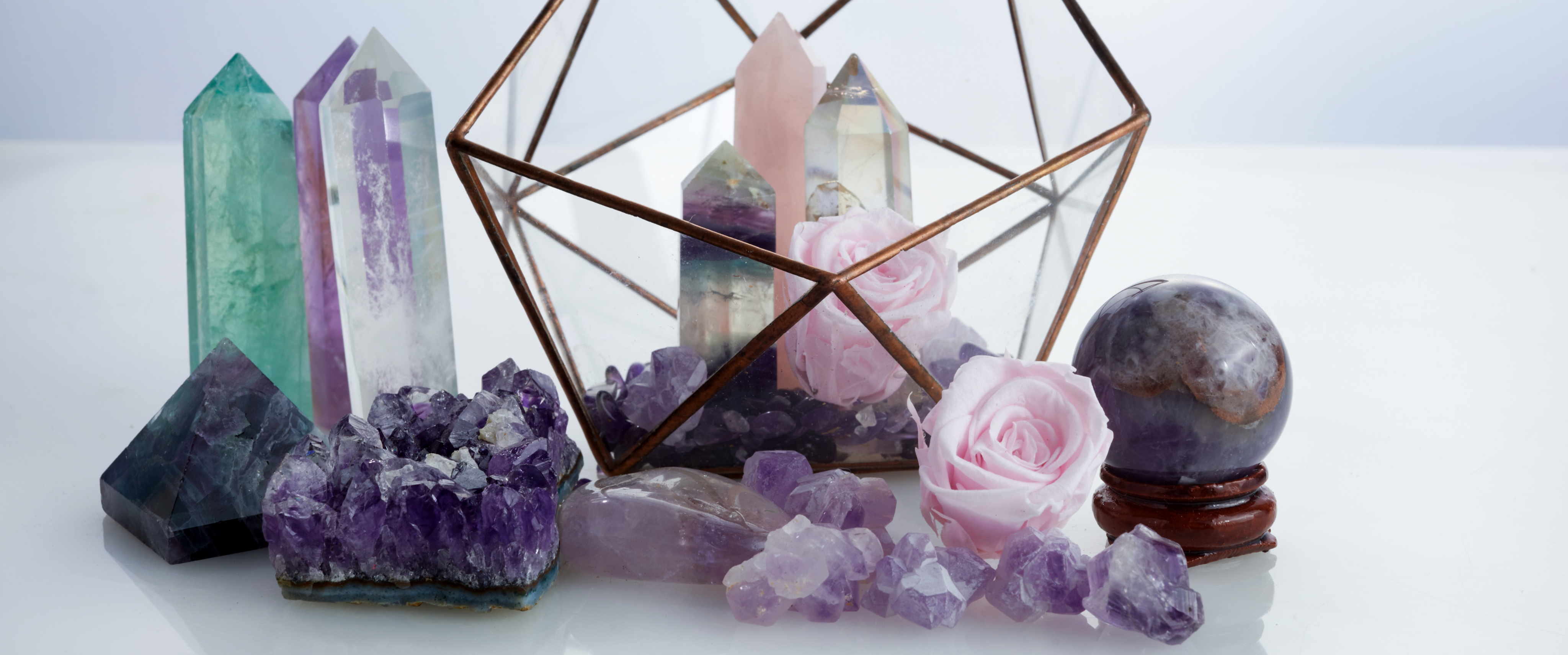 Shop Banner