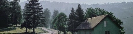 Shop Banner