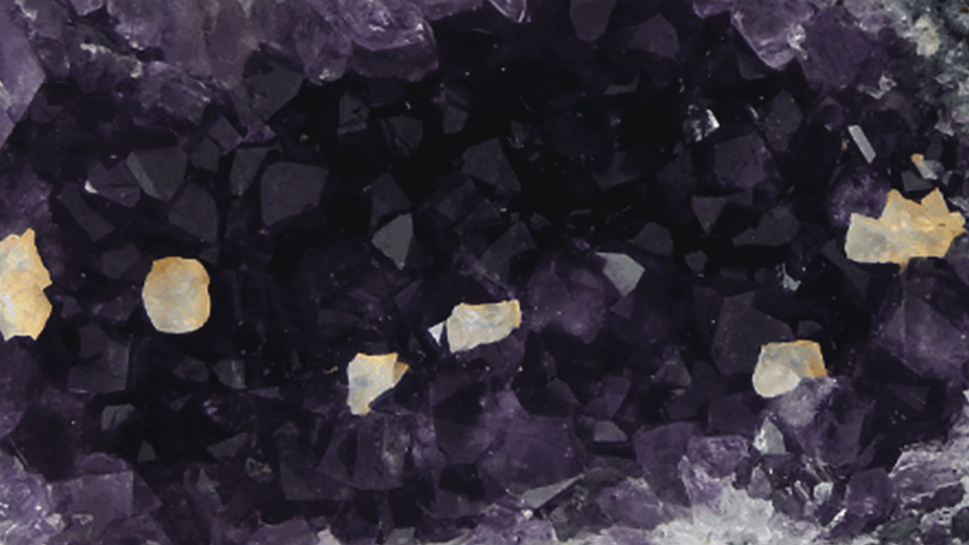 Shop Banner