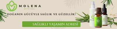 Shop Banner