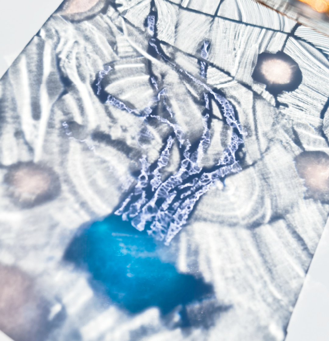 Shop Banner
