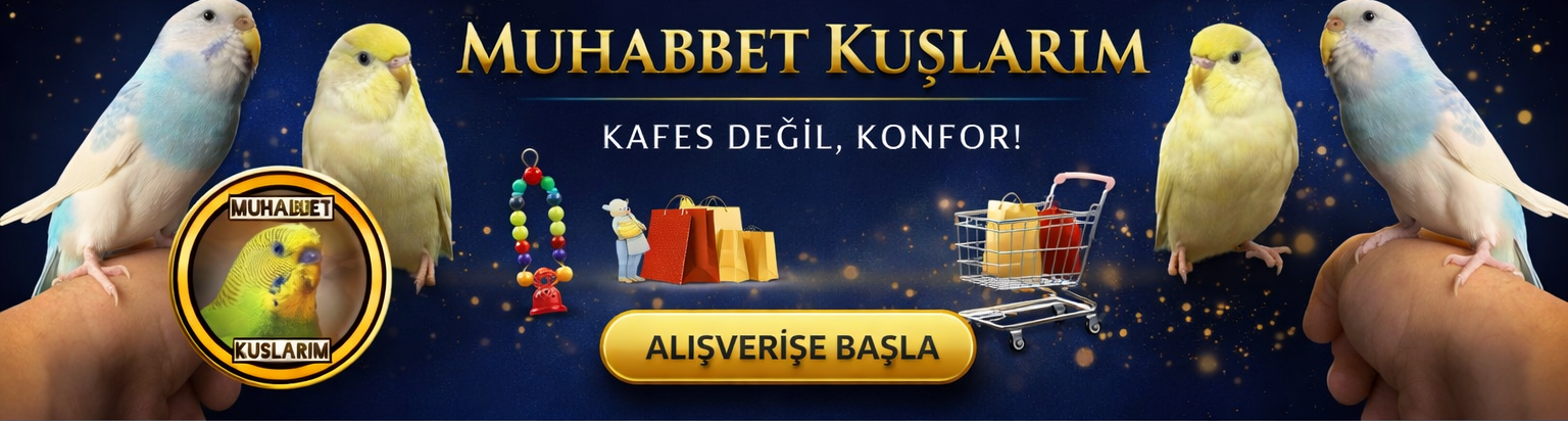Shop Banner