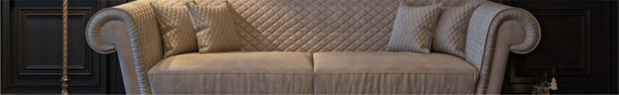 Shop Banner