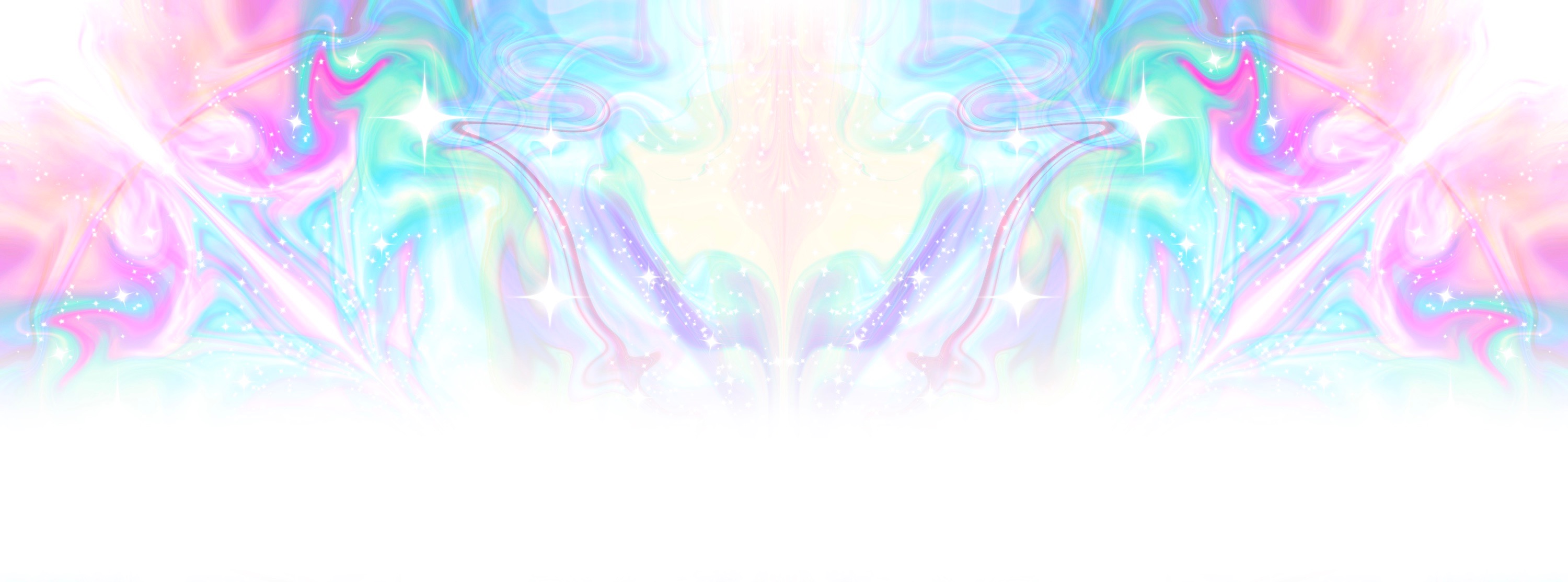 Shop Banner