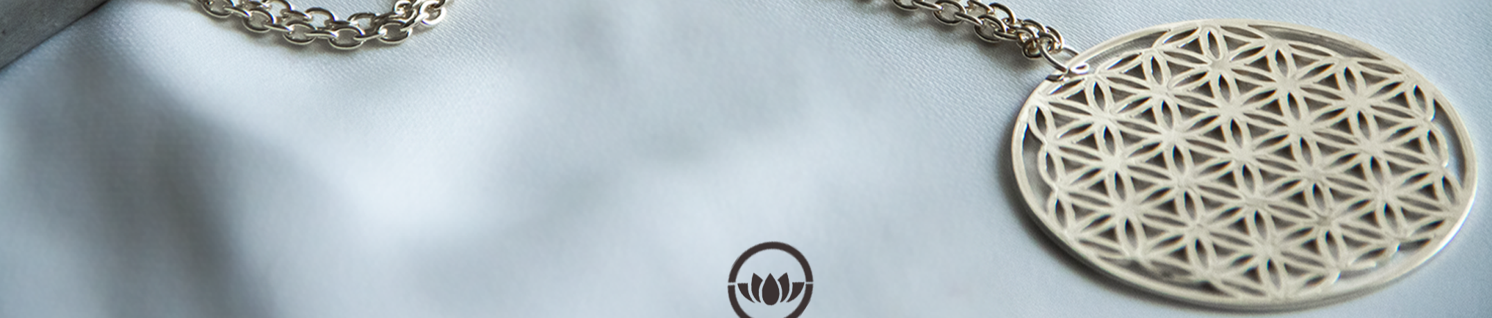 Shop Banner