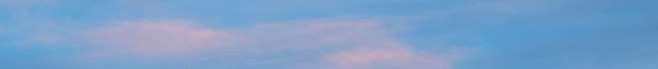 Shop Banner