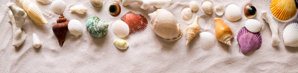 Shop Banner