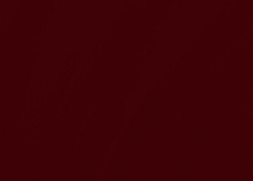 Shop Banner