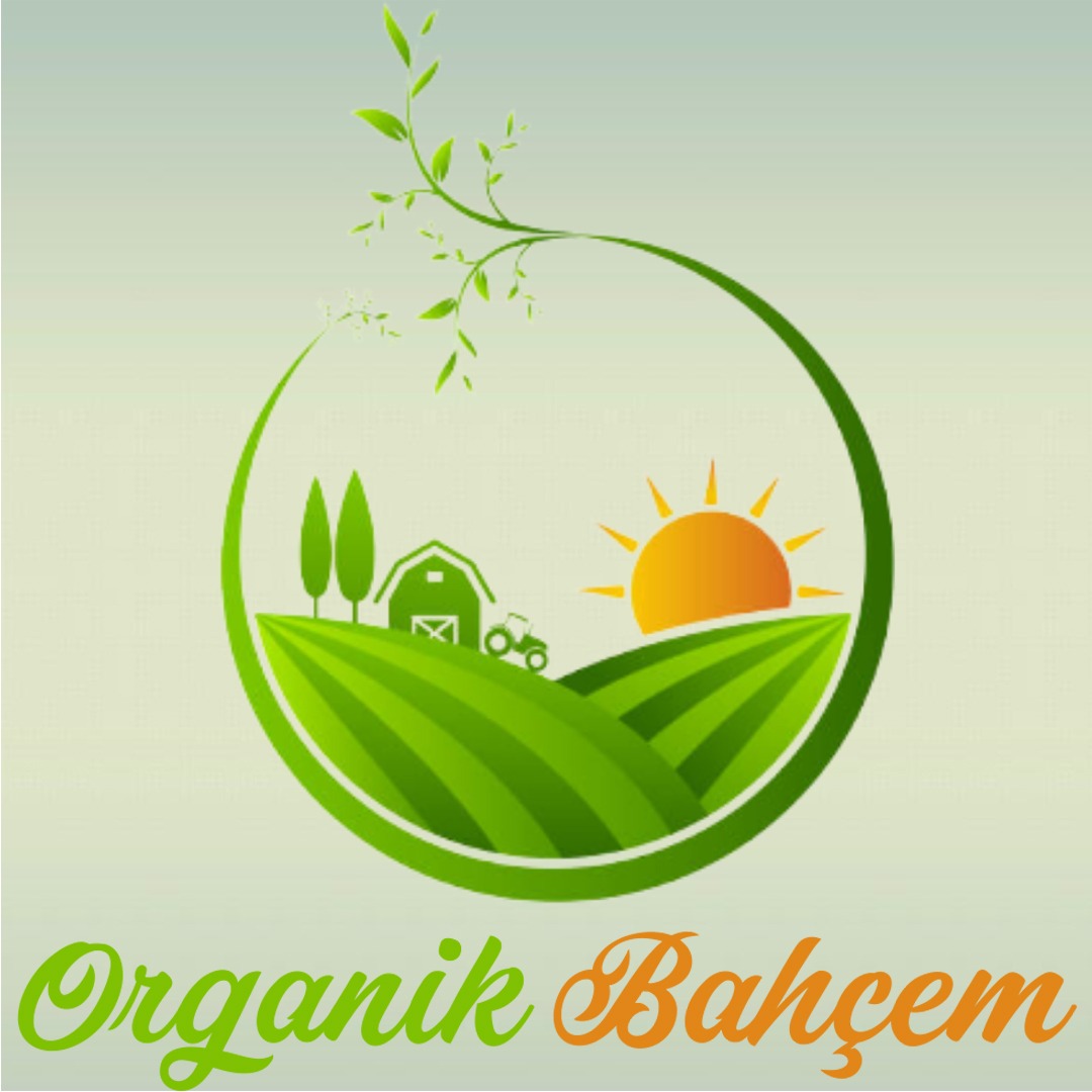 Shop Banner
