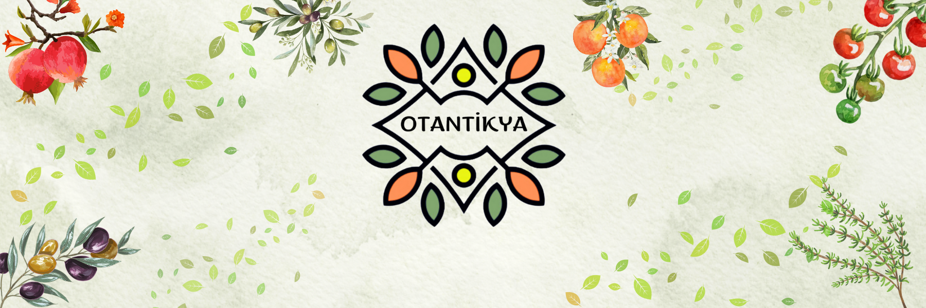 Shop Banner