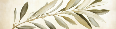 Shop Banner