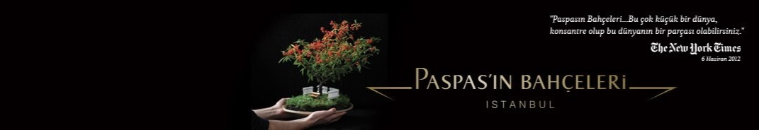 Shop Banner