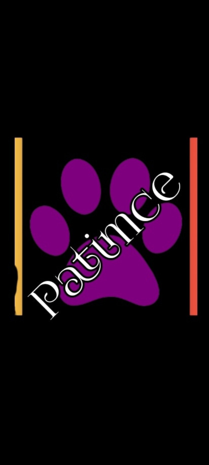 Shop Banner