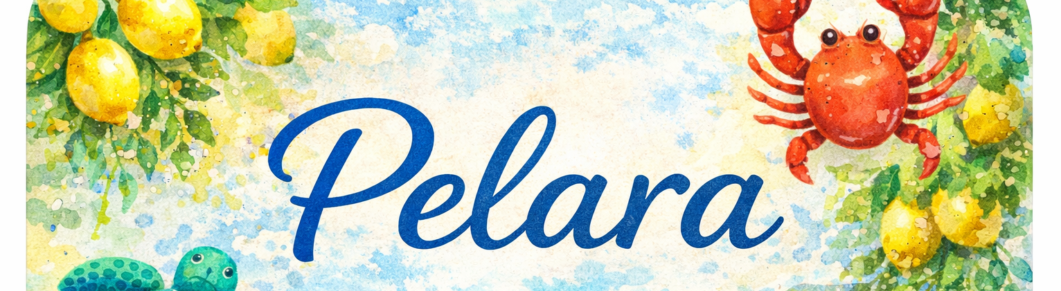 Shop Banner