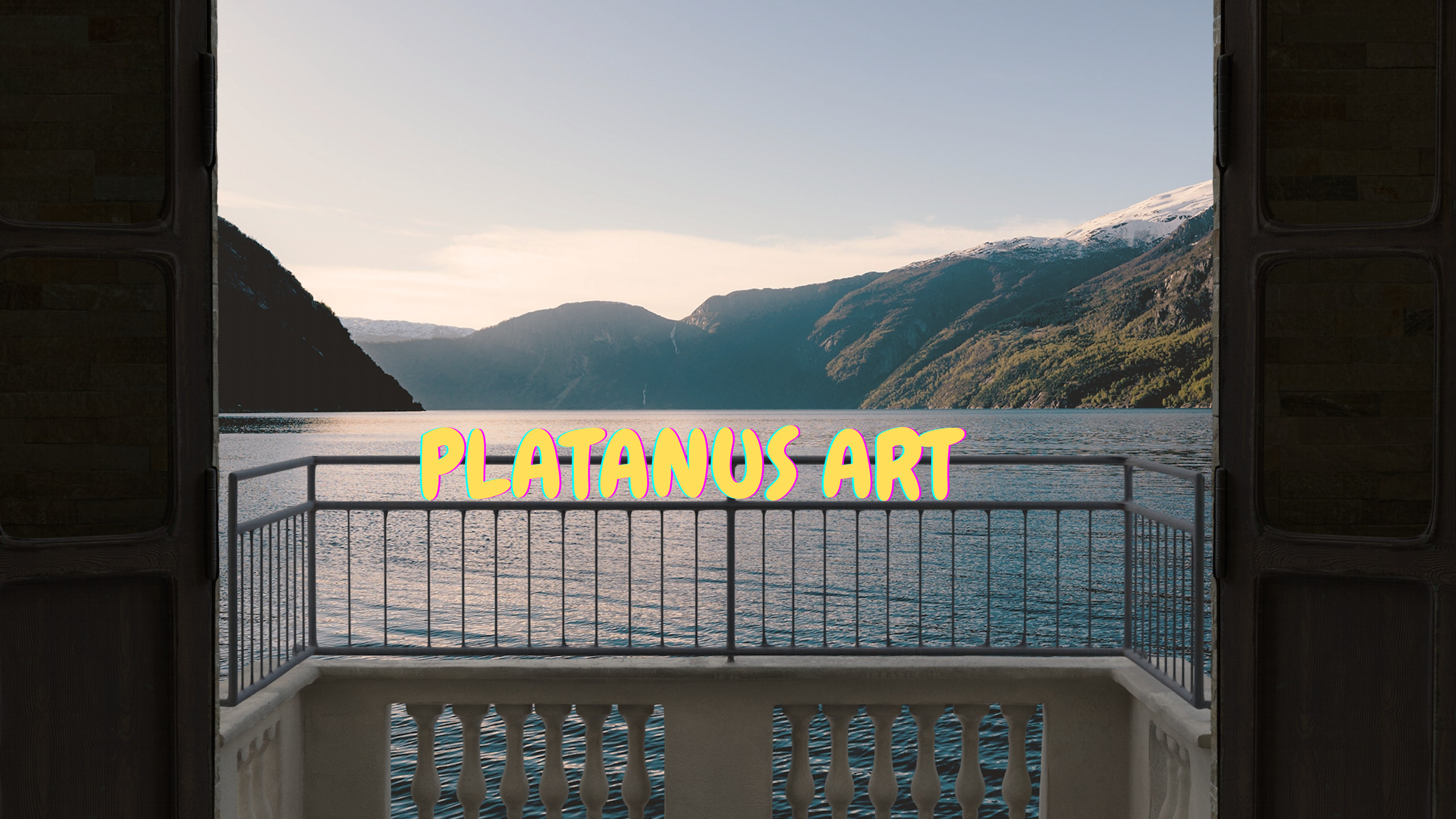 Shop Banner