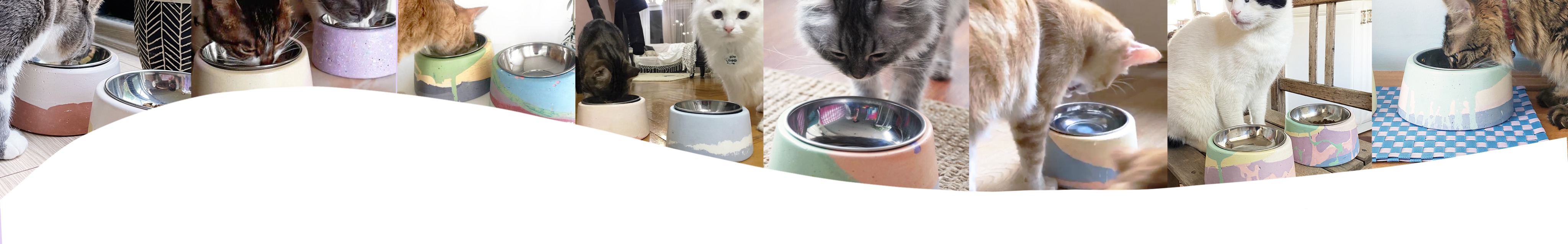 Shop Banner