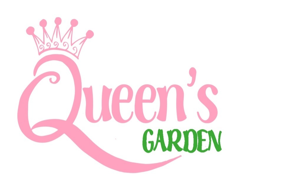 Shop Banner