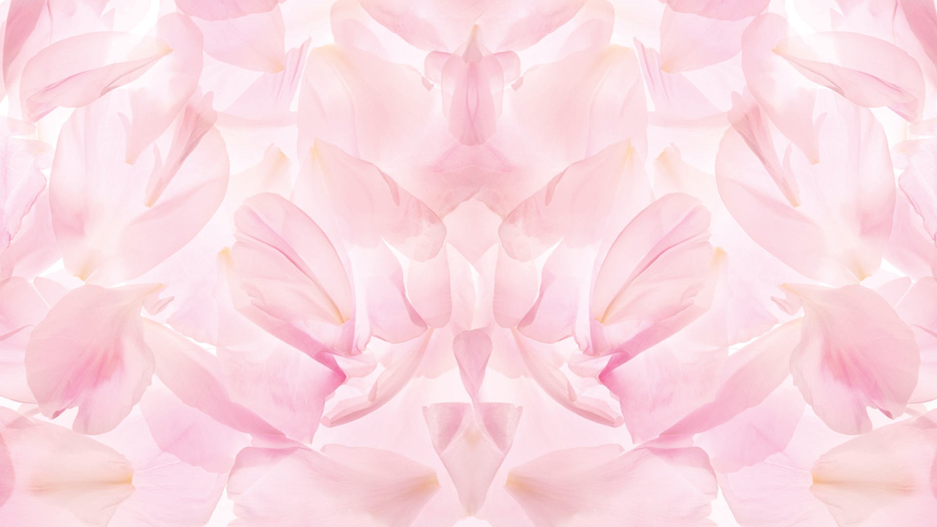 Shop Banner