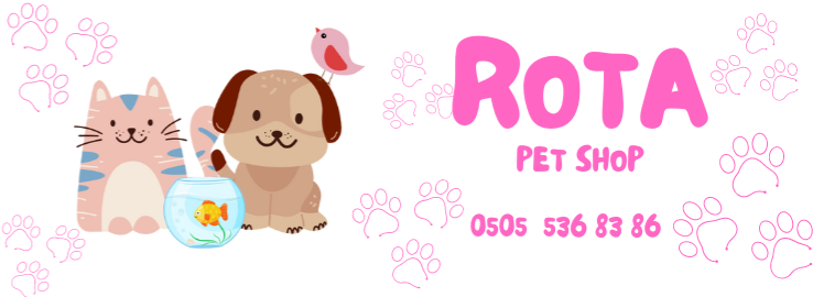 Shop Banner