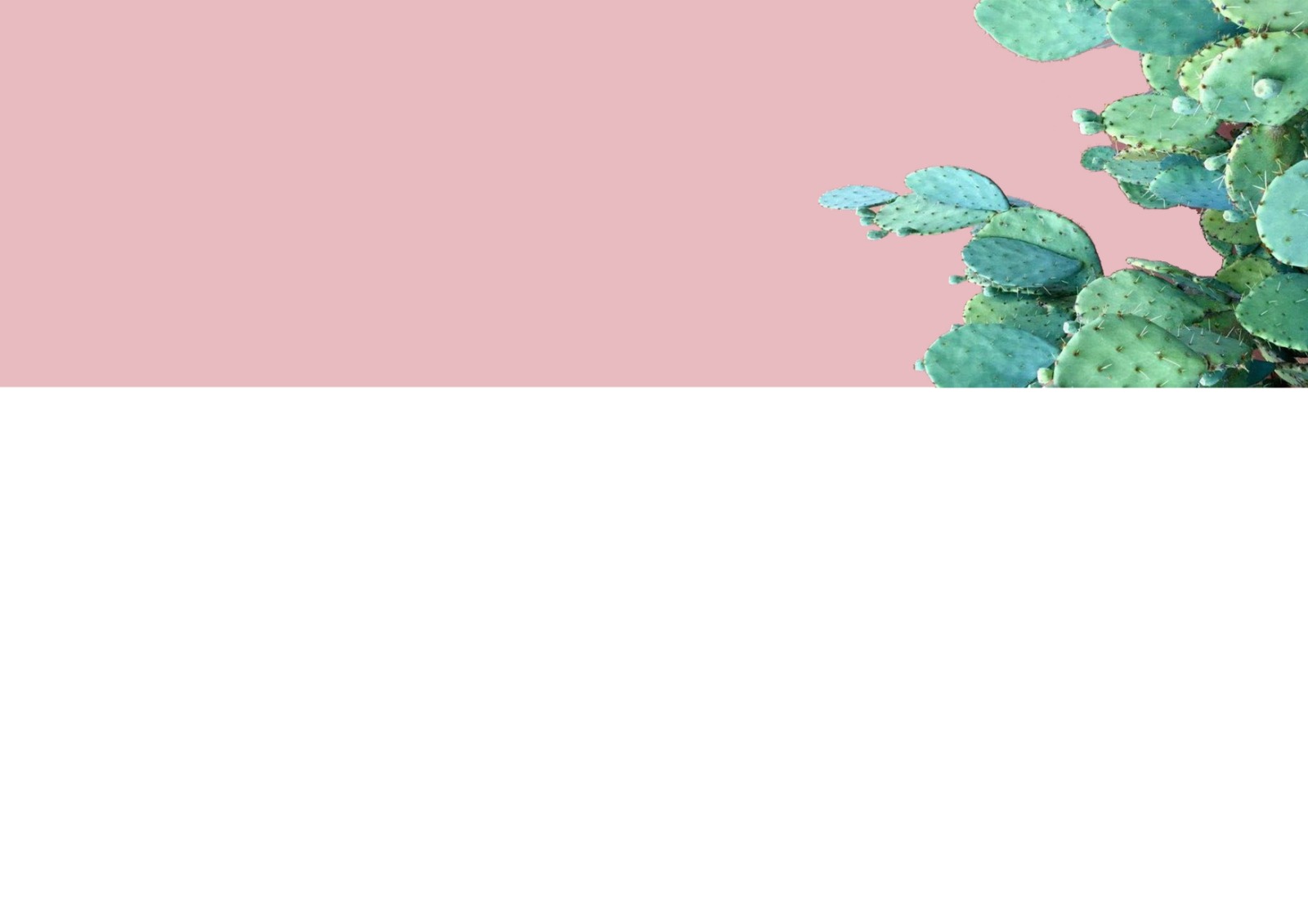 Shop Banner