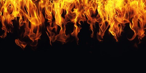 Shop Banner