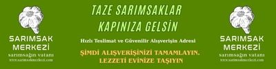 Shop Banner