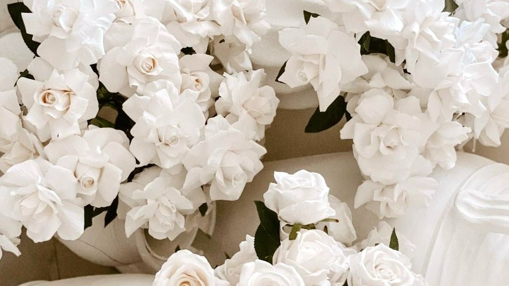 Shop Banner