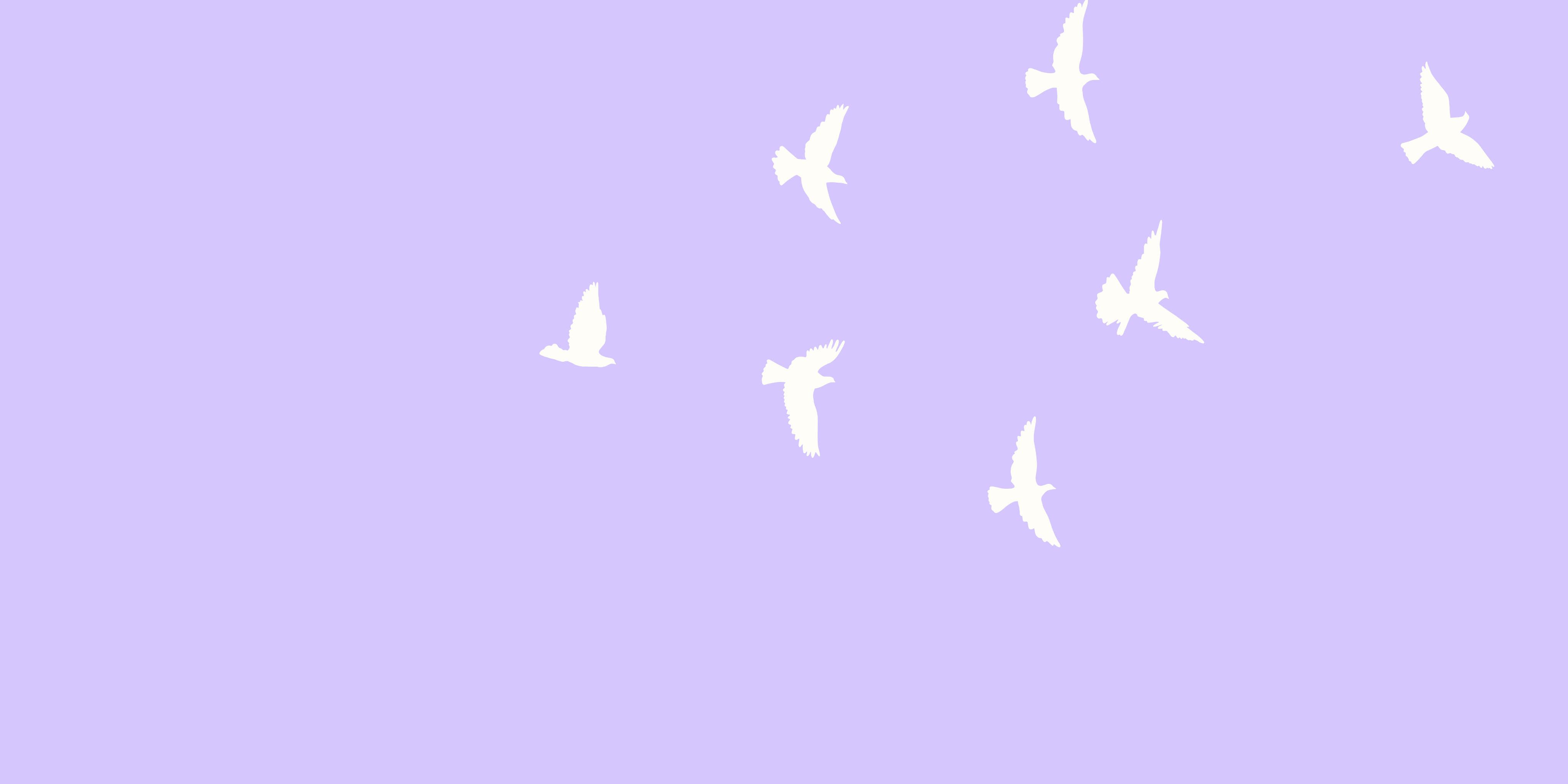 Shop Banner