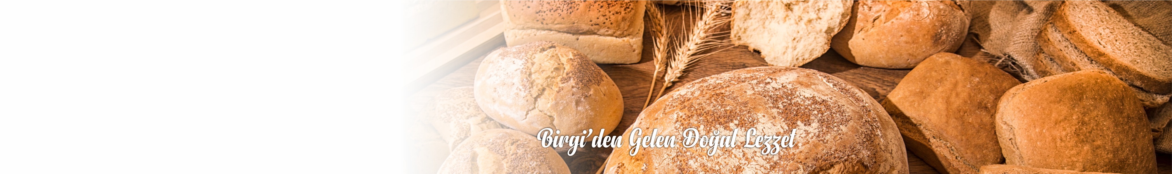 Shop Banner