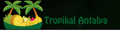 Shop Banner
