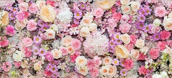 Shop Banner
