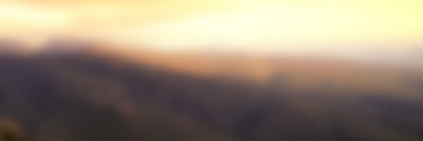 Shop Banner