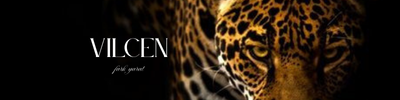 Shop Banner