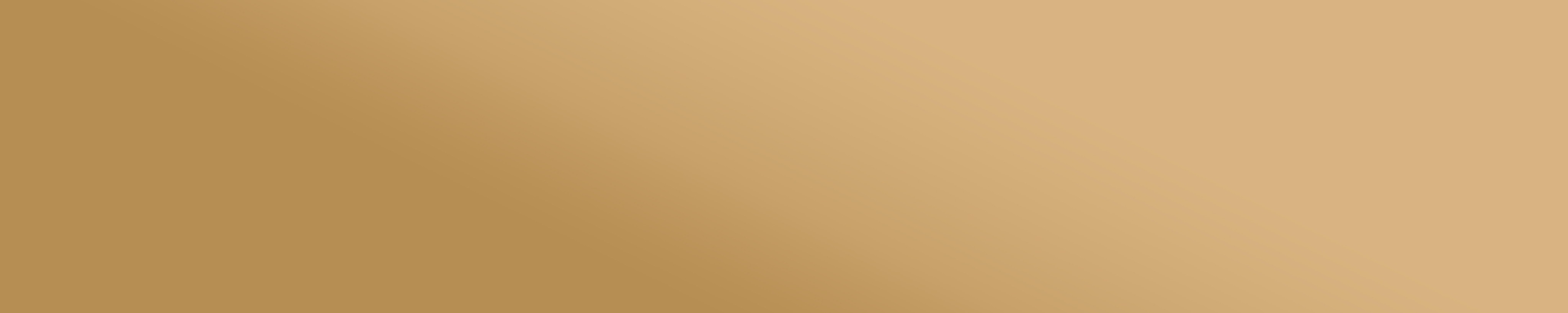 Shop Banner