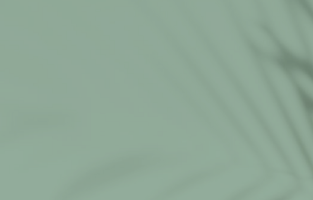 Shop Banner