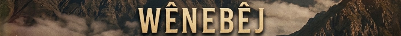 Shop Banner