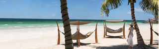 Shop Banner