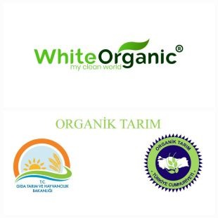 Shop Banner
