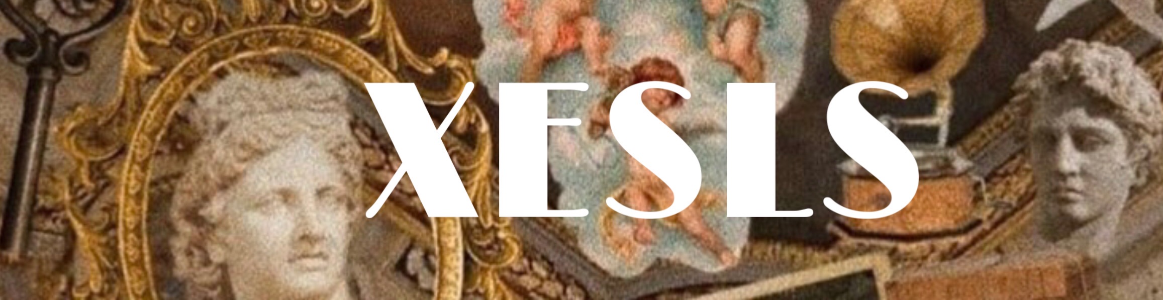 Shop Banner