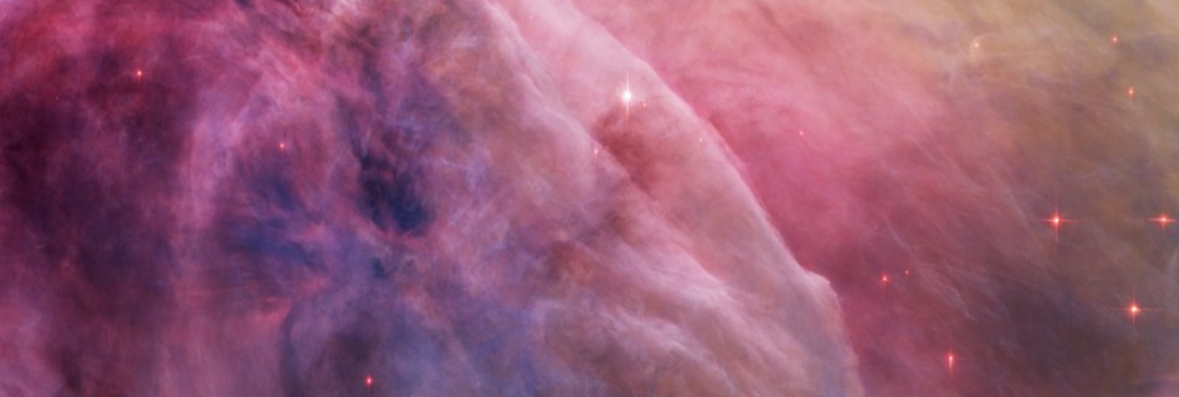 Shop Banner