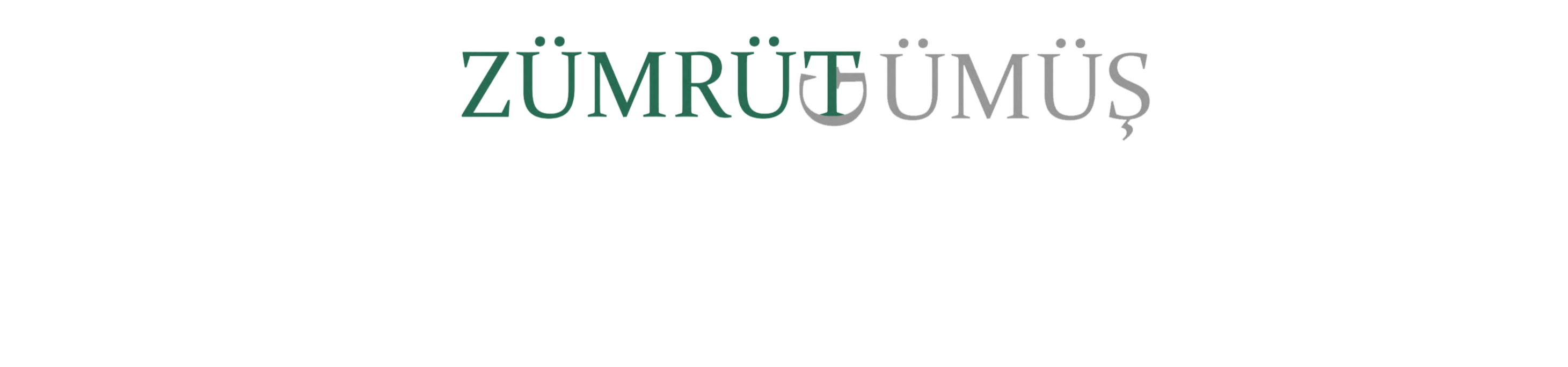 Shop Banner