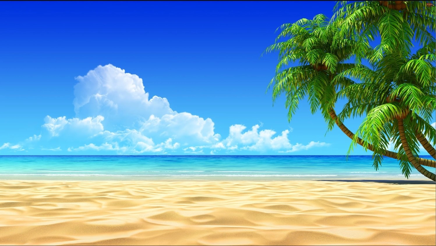 Shop Banner