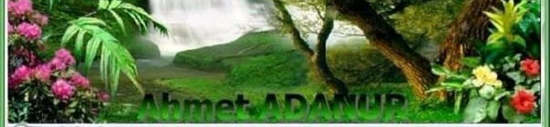 Shop Banner